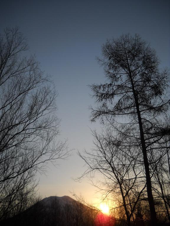 Niseko Shirokuma Cottage Экстерьер фото